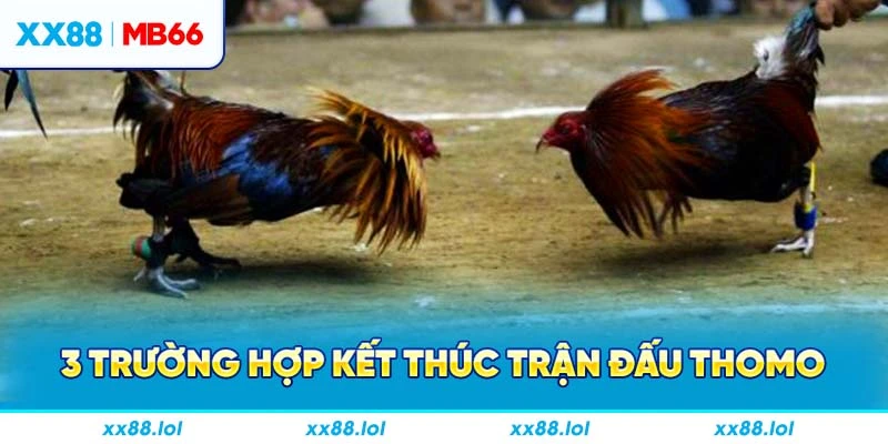 3 trường hợp kết thúc trận đấu Thomo
