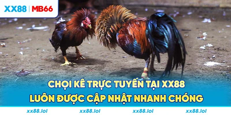 Chọi kê trực tuyến tại XX88 luôn được cập nhật nhanh chóng