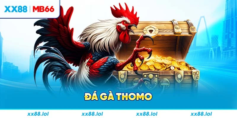 Đá gà Thomo