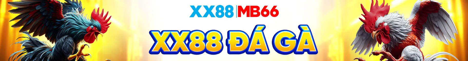 đá gà xx88