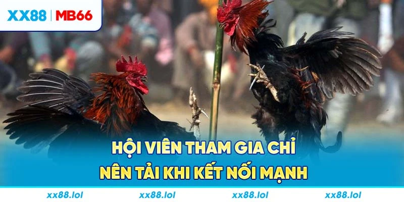 Hội viên tham gia chỉ nên tải khi kết nối mạnh