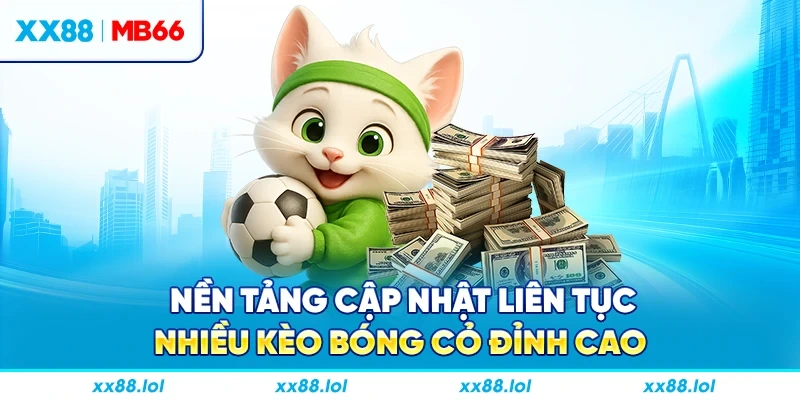 Nền tảng cập nhật liên tục nhiều kèo bóng cỏ đỉnh cao