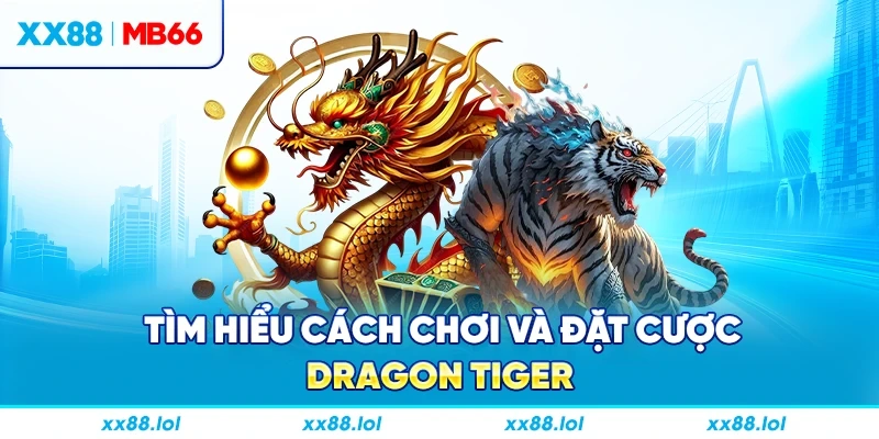 Tìm hiểu cách chơi và đặt cược Dragon Tiger