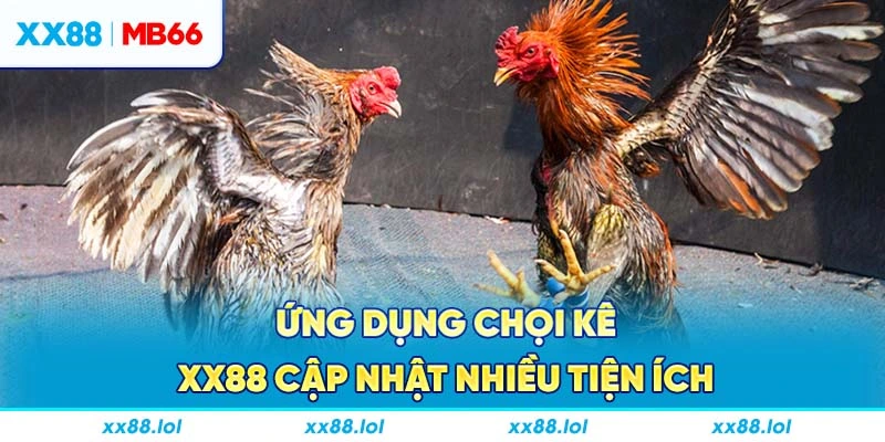 Ứng dụng chọi kê XX88 cập nhật nhiều tiện ích